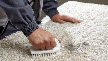 Professional Rug Cleaning Montmorency